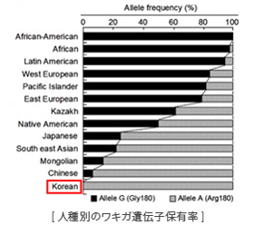 韓国人にはワキガの人がいない？！